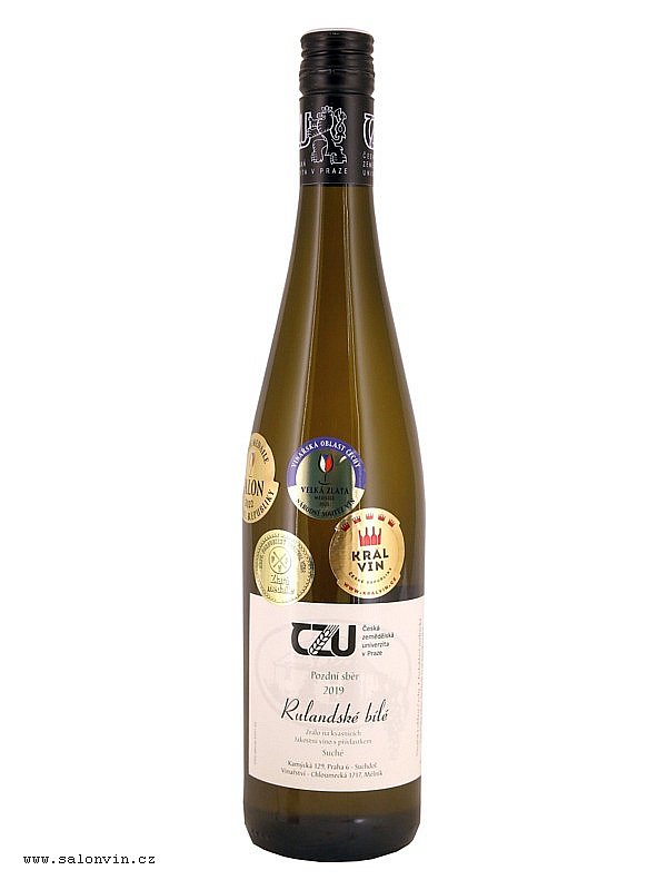 26 - Rulandské bílé / Pinot blanc	pozdní sběr	2019	Česká zemědělská univerzita v Praze